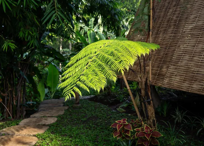 Bed & Breakfast Aira Ubud 4*