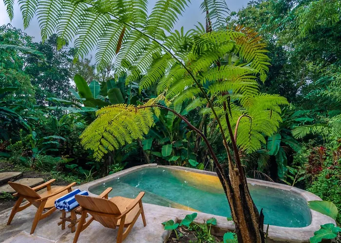 Bed & Breakfast Aira Ubud Tegallalang (Bali)