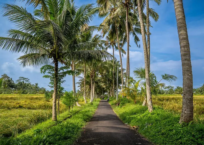 Aira Ubud 4* Tegallalang (Bali)