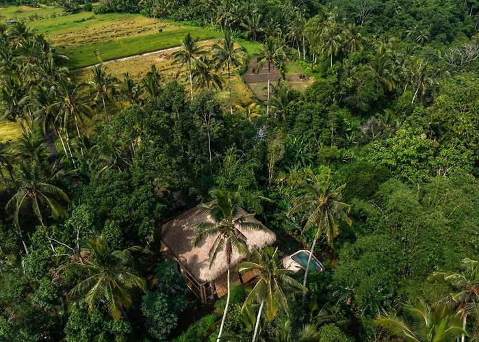 Bed & Breakfast Aira Ubud Tegallalang (Bali)